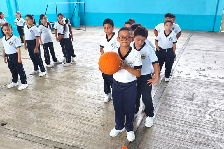 primaria20264